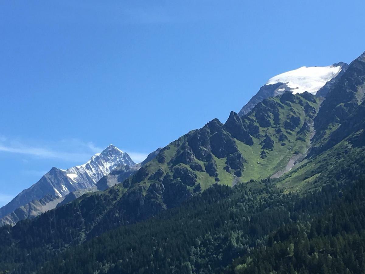 Апартаменти Les Pierres Blanches Mont Blanc Ле-Контамін-Монжуа Екстер'єр фото