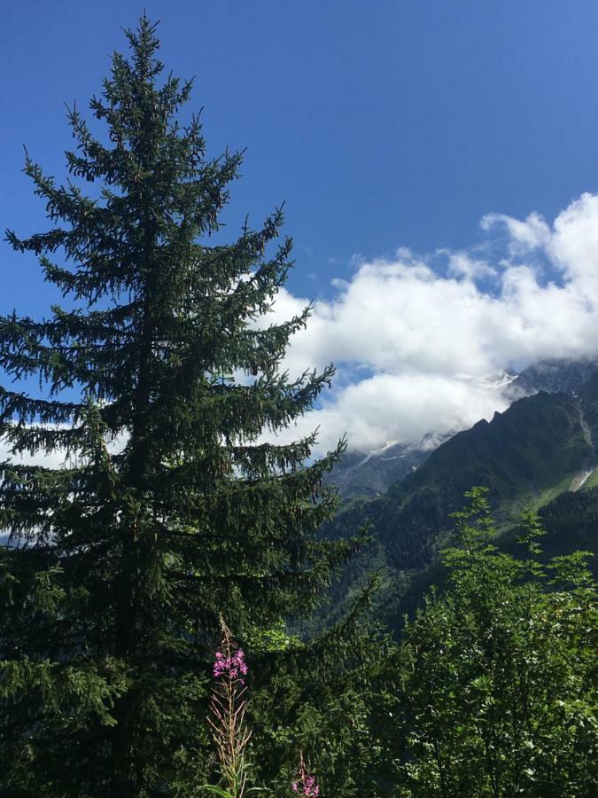 Апартаменти Les Pierres Blanches Mont Blanc Ле-Контамін-Монжуа Екстер'єр фото