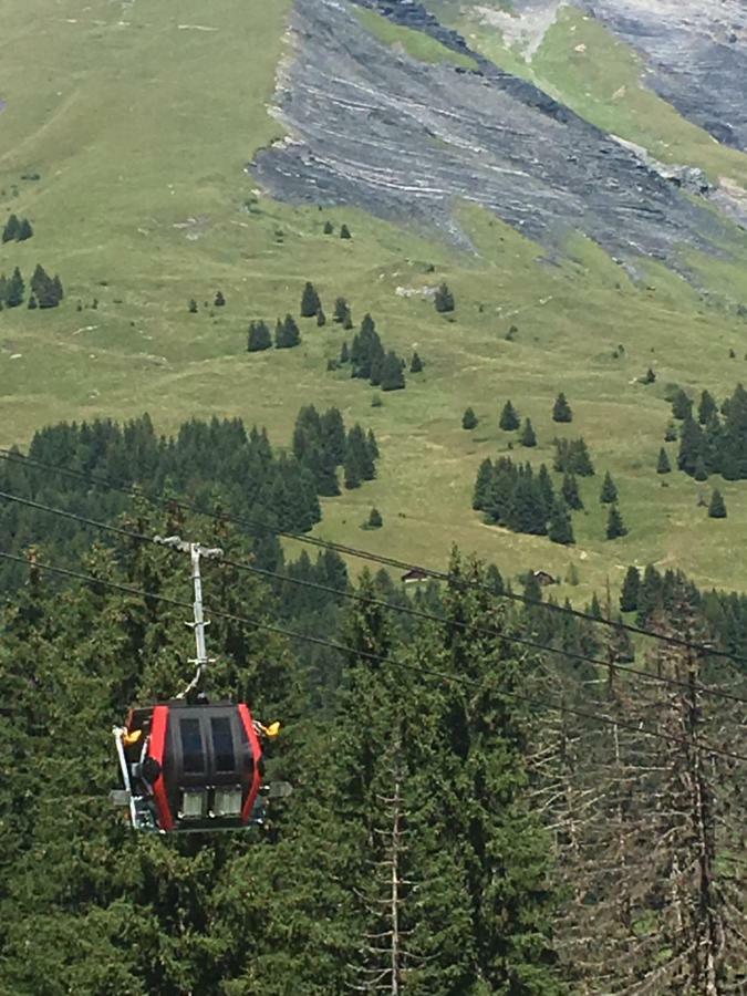 Апартаменти Les Pierres Blanches Mont Blanc Ле-Контамін-Монжуа Екстер'єр фото